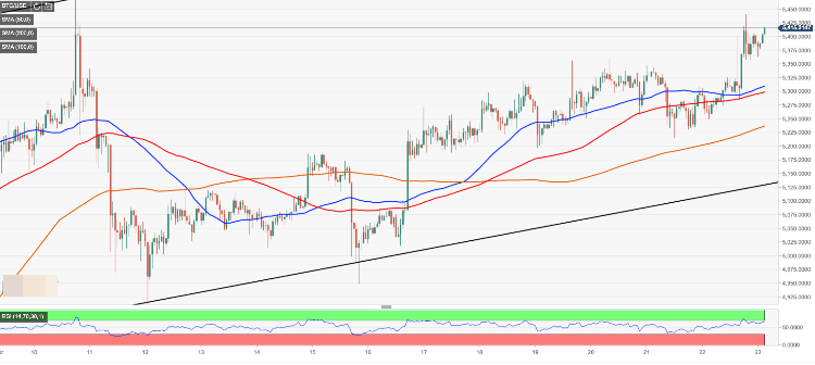 Bitcoin Price Analysis Btc Usd Defies Bearish Sentiments Amid - 