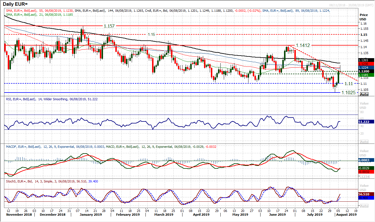 Is A Technical Rally Sustainable Or Just A Dead Cat Bounce - 